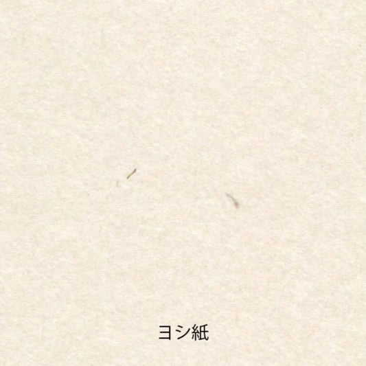 Yamamoto Paper Tasting - Washi Vol.2